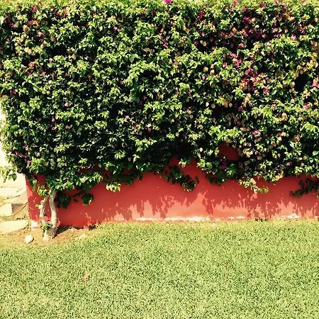 Playa Sol * דניה