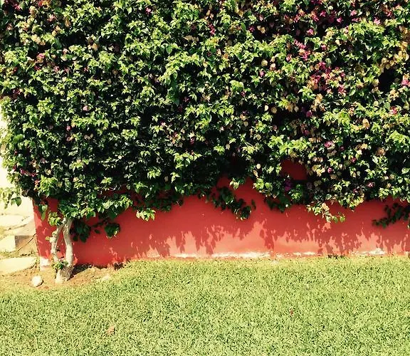 Playa Sol * דניה